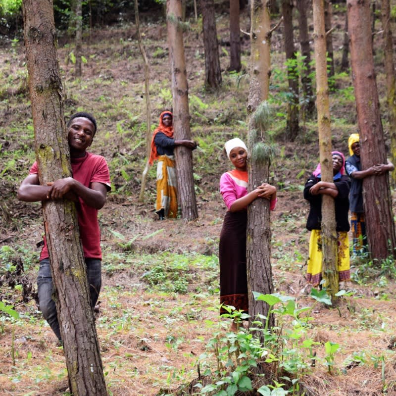 You Plant We Plant Tree Pouch, We Plant 500 More Trees